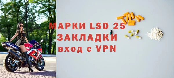 сатива Кулебаки