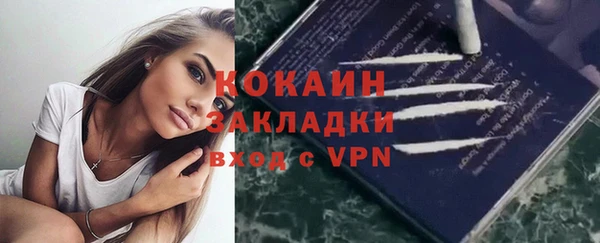 сатива Кулебаки