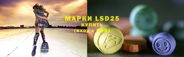 сатива Кулебаки