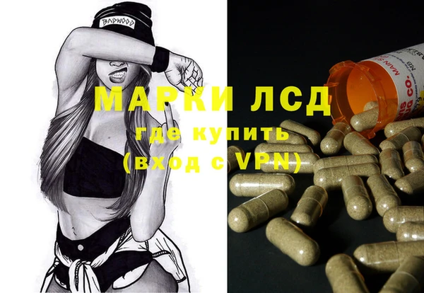 сатива Кулебаки
