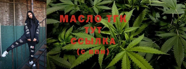 сатива Кулебаки