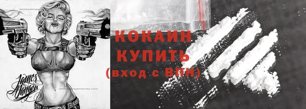 сатива Кулебаки