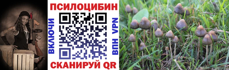 Купить  Курильск  Галлюциногенные грибы Magic Shrooms 